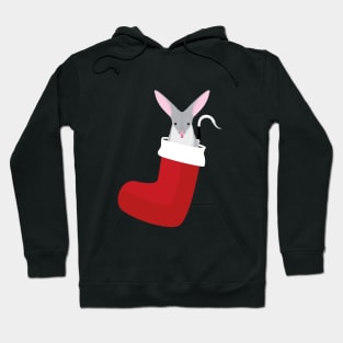 Australian bilby in a Christmas stocking Hoodie